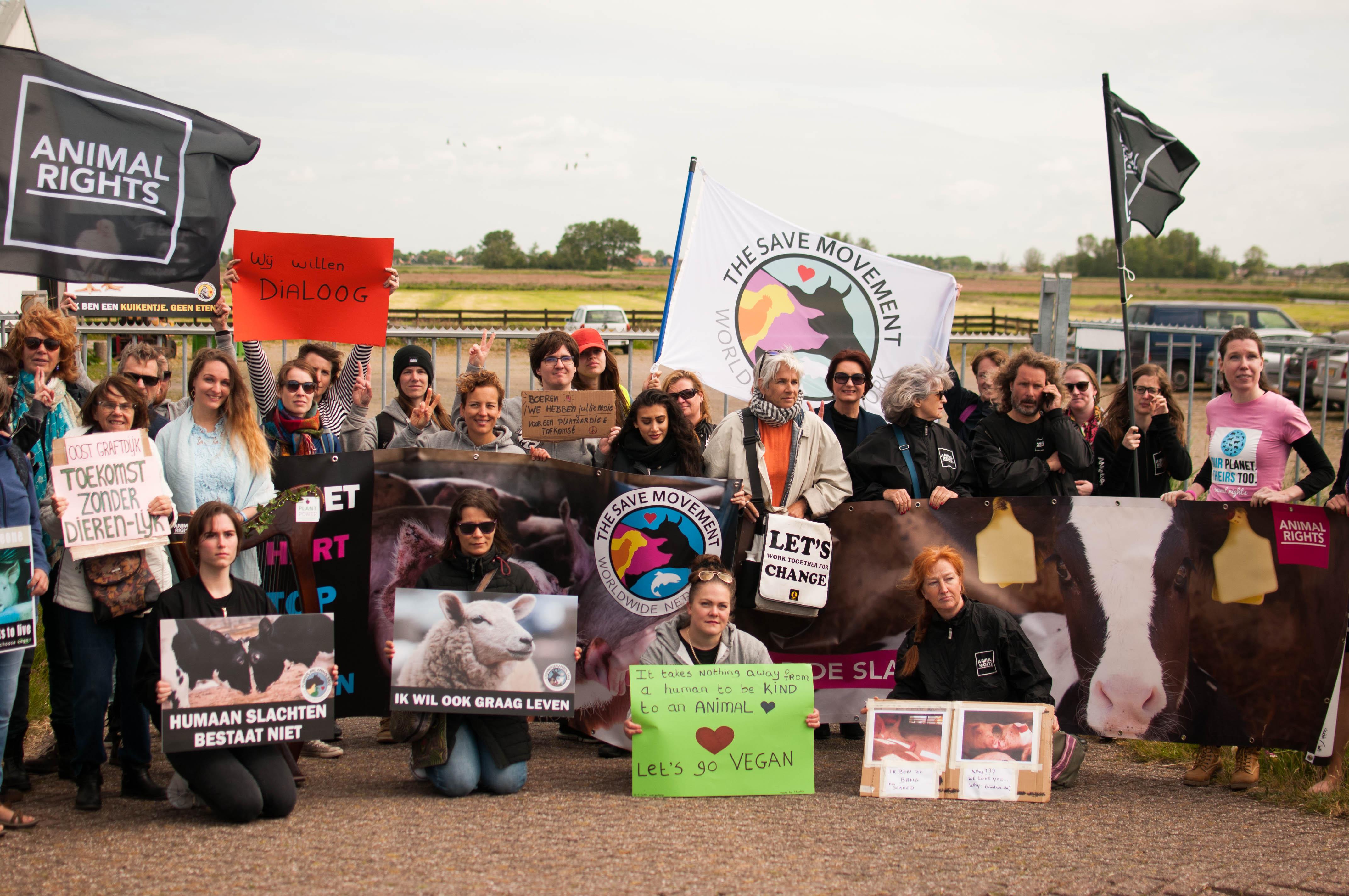 Demonstratie dierenactivisten bij abattoir Oost-Graftdijk: geen bezoek boze boeren